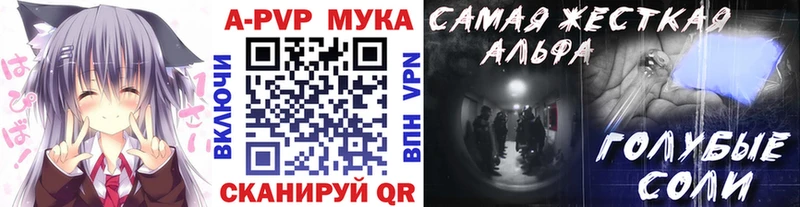 Alfa_PVP СК Заринск