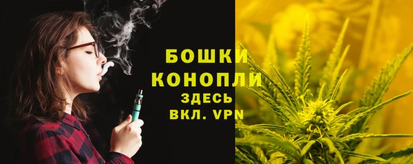 молекула духа Елабуга