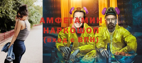 молекула духа Елабуга
