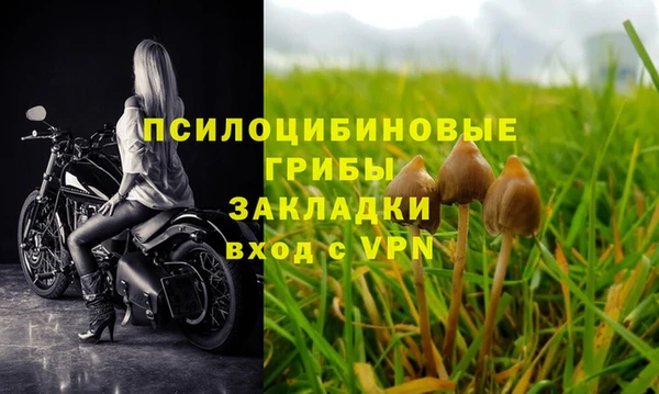 молекула духа Елабуга