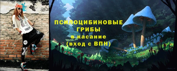 мдпв Елизово