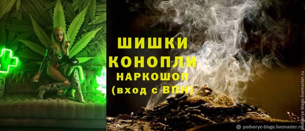 молекула духа Елабуга