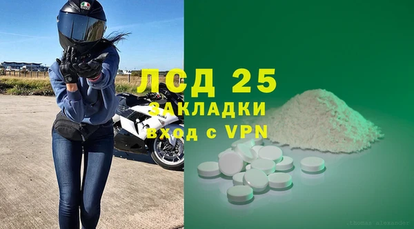 эйфоретик Майский