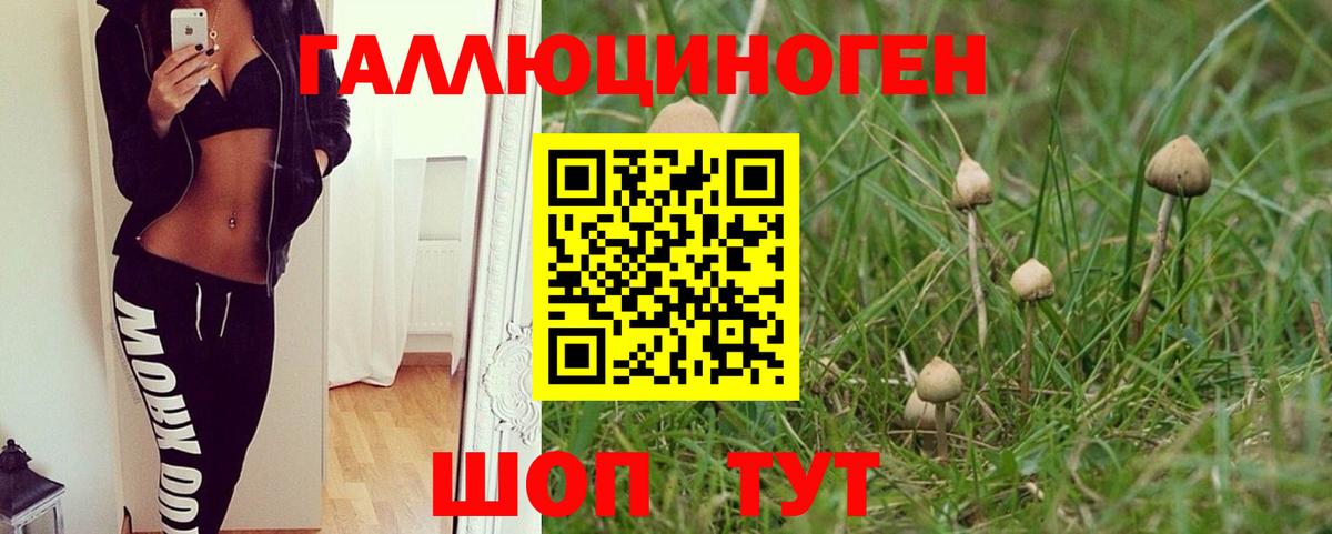 Псилоцибиновые грибы прущие грибы  Галлюциногенные грибы Psilocybine cubensis  Заринск  Вход с VPN 